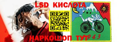 PSILOCYBIN Чебаркуль