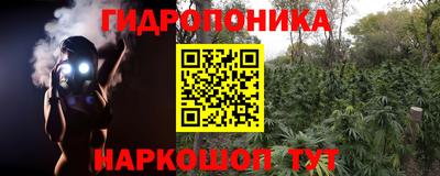 PSILOCYBIN Чебаркуль