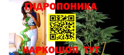стаф Чапаевск