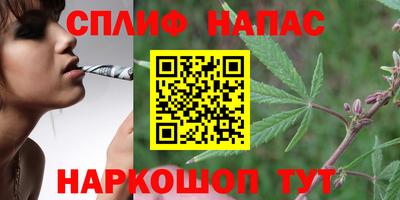 PSILOCYBIN Чебаркуль